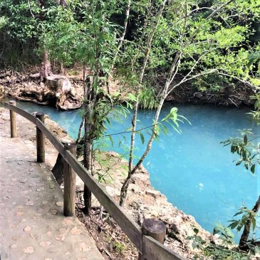 Attractions Attractions