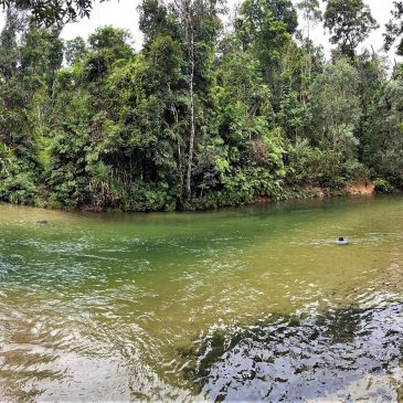 Terms & Conditions Terms & Conditions